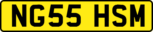 NG55HSM