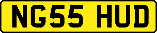 NG55HUD