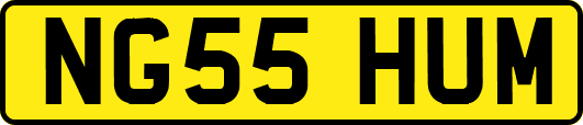 NG55HUM