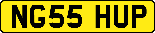 NG55HUP