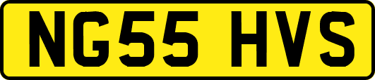 NG55HVS