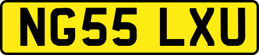 NG55LXU