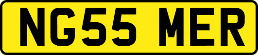 NG55MER