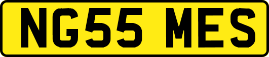 NG55MES