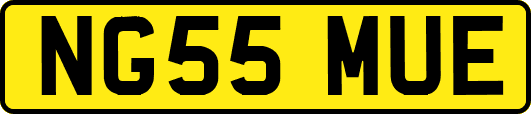 NG55MUE
