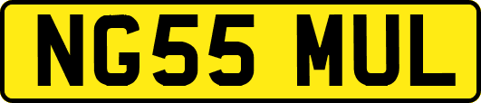 NG55MUL