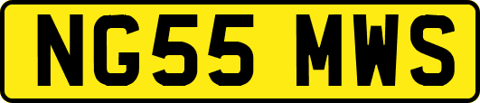 NG55MWS