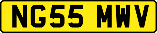 NG55MWV