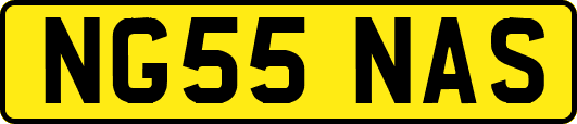 NG55NAS