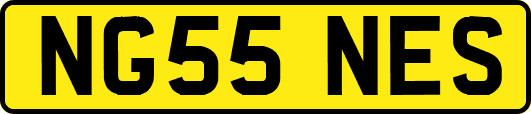 NG55NES