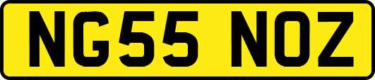 NG55NOZ