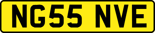 NG55NVE