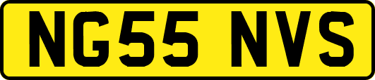 NG55NVS