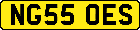 NG55OES