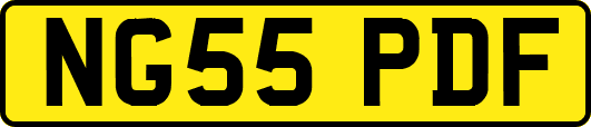 NG55PDF