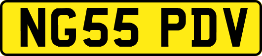 NG55PDV