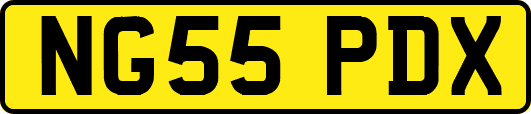 NG55PDX