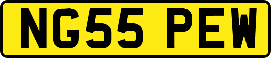 NG55PEW