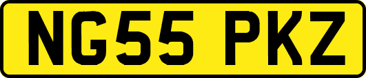 NG55PKZ