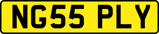 NG55PLY