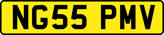 NG55PMV