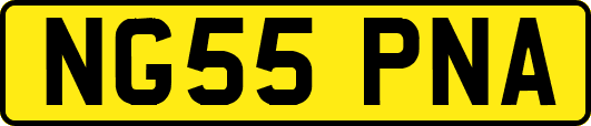 NG55PNA