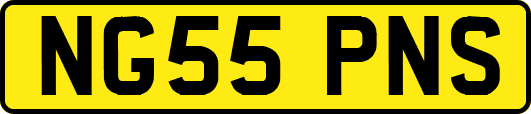 NG55PNS