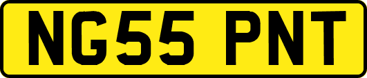 NG55PNT