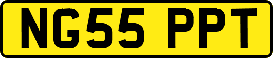 NG55PPT