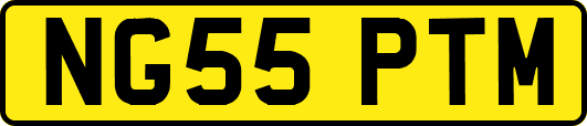 NG55PTM