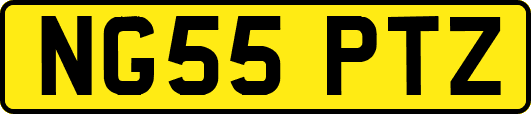NG55PTZ