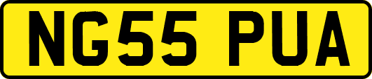 NG55PUA