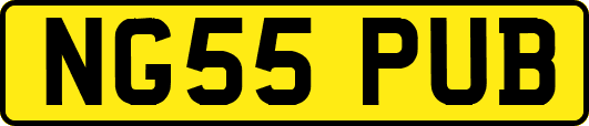 NG55PUB