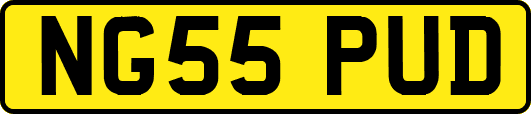 NG55PUD