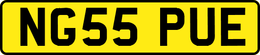 NG55PUE