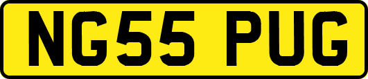 NG55PUG
