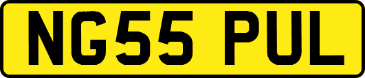NG55PUL
