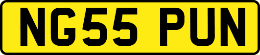 NG55PUN