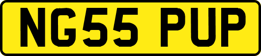 NG55PUP