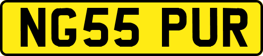 NG55PUR