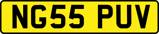 NG55PUV