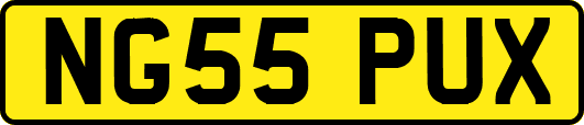 NG55PUX