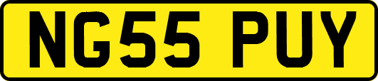 NG55PUY