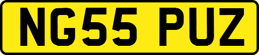 NG55PUZ