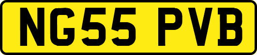 NG55PVB
