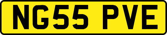 NG55PVE