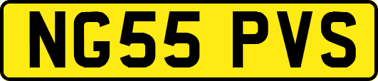 NG55PVS