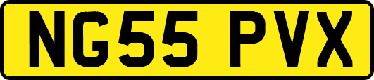 NG55PVX