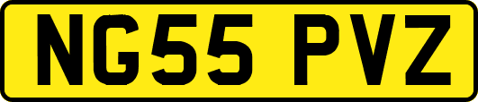 NG55PVZ