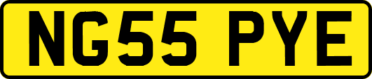 NG55PYE